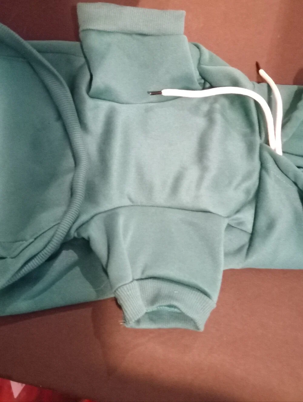 Cozy Dog Teal Green Hooded Pullover Sweatshirt